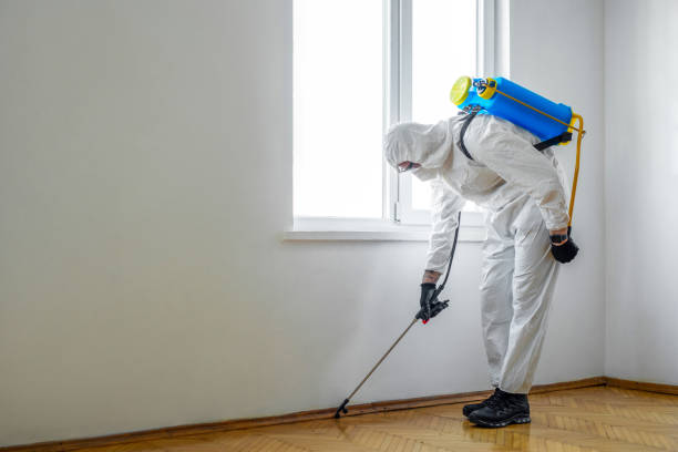 Best Fumigation Services  in Summerside, OH